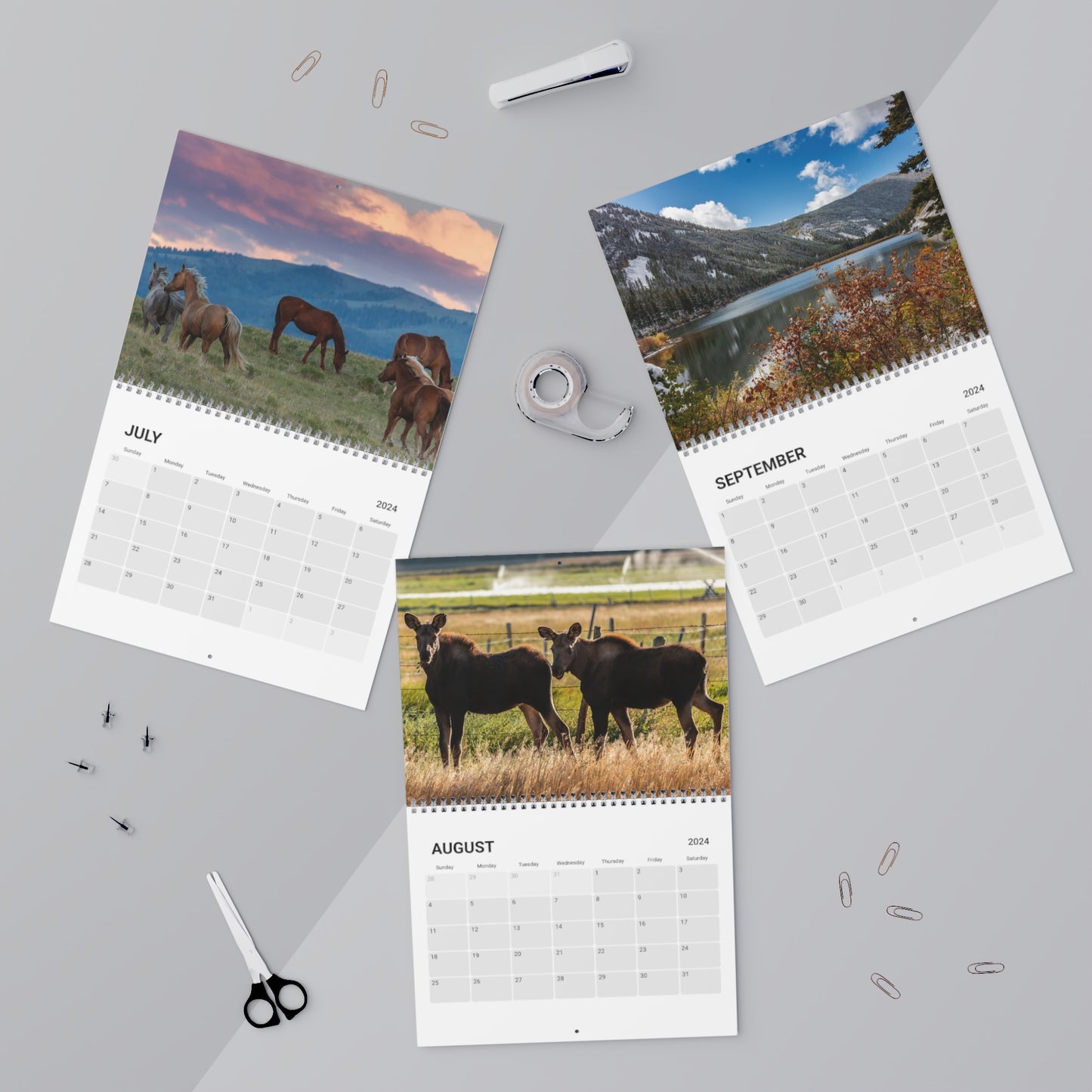 Montana Views - 2024 Wall Calendar