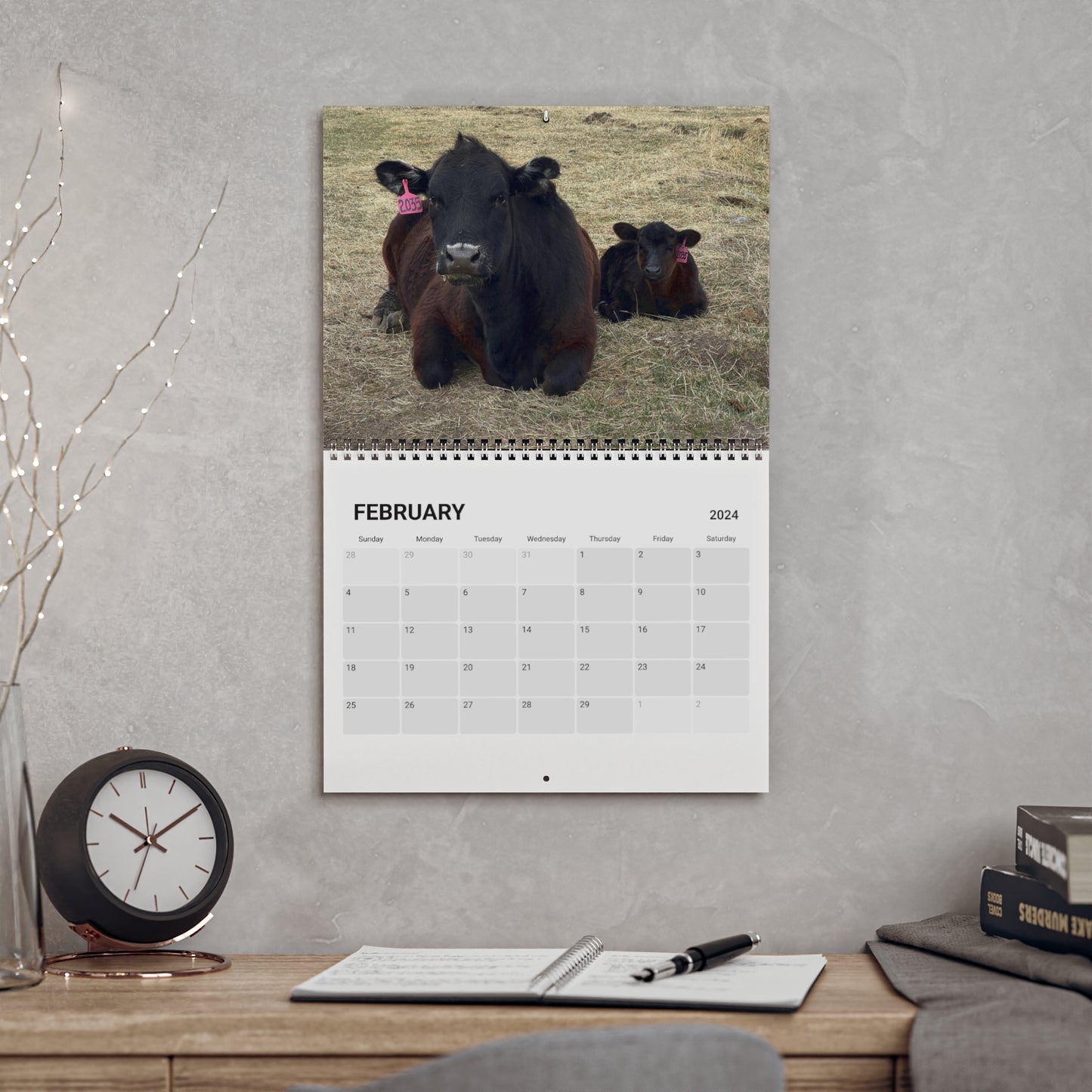 Cute Calves - 2024 Wall Calendar